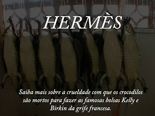Hermès: A Crueldade Que Você Não Conhecia