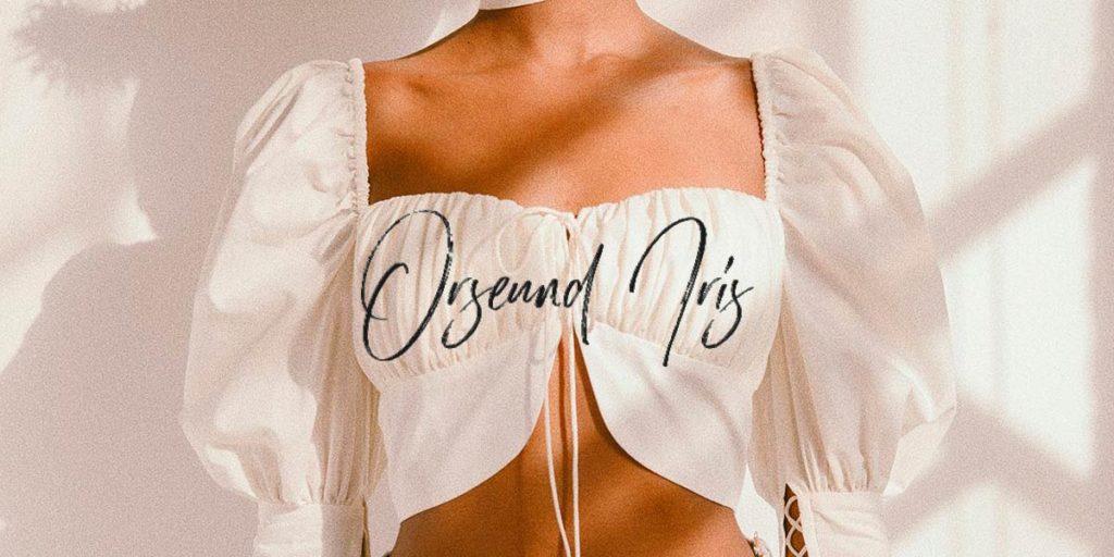 Tudo Sobre o Princess Top da Orseund Iris