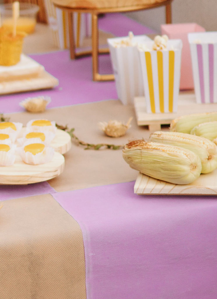 DIY Toalha Xadrez de TNT Para Festa Junina