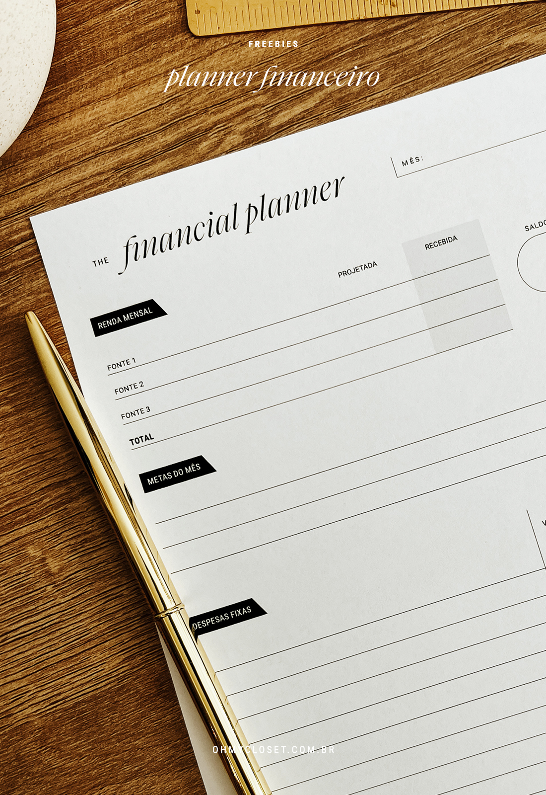 Planner financeiro grátis para download com renda mensal, metas do mês e despesas fixas.