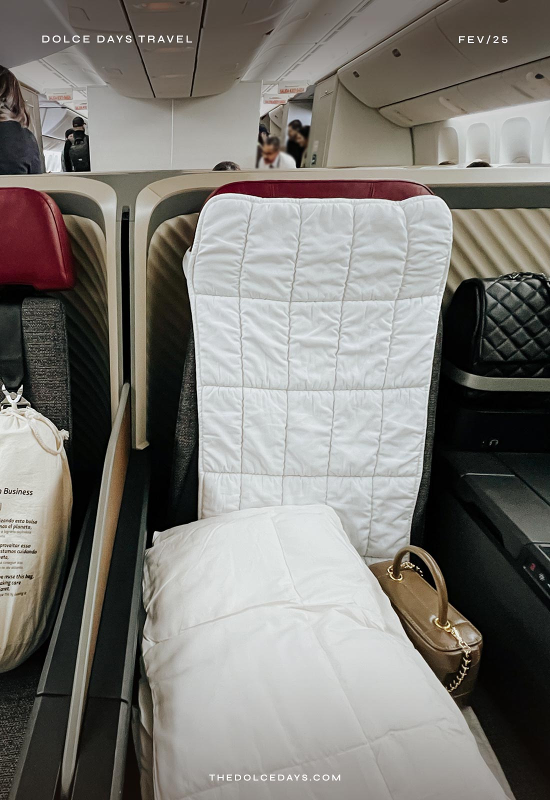 Assento da Premium Business montado com pillow plane